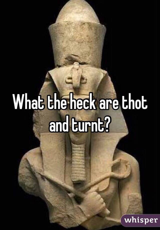 What the heck are thot and turnt?