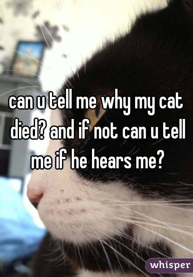 can u tell me why my cat died? and if not can u tell me if he hears me?
