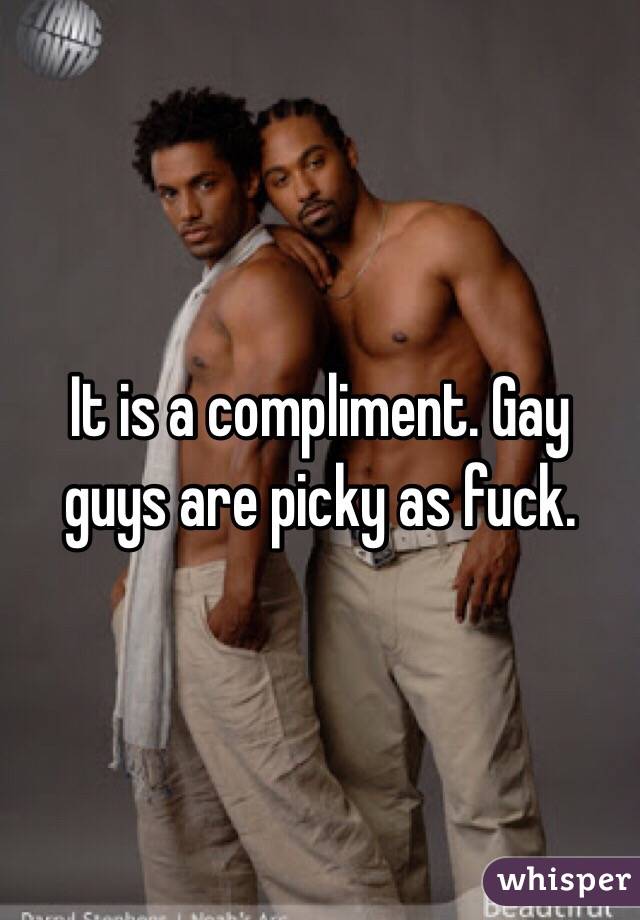 It is a compliment. Gay guys are picky as fuck. 