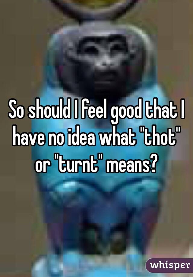 So should I feel good that I have no idea what "thot" or "turnt" means? 