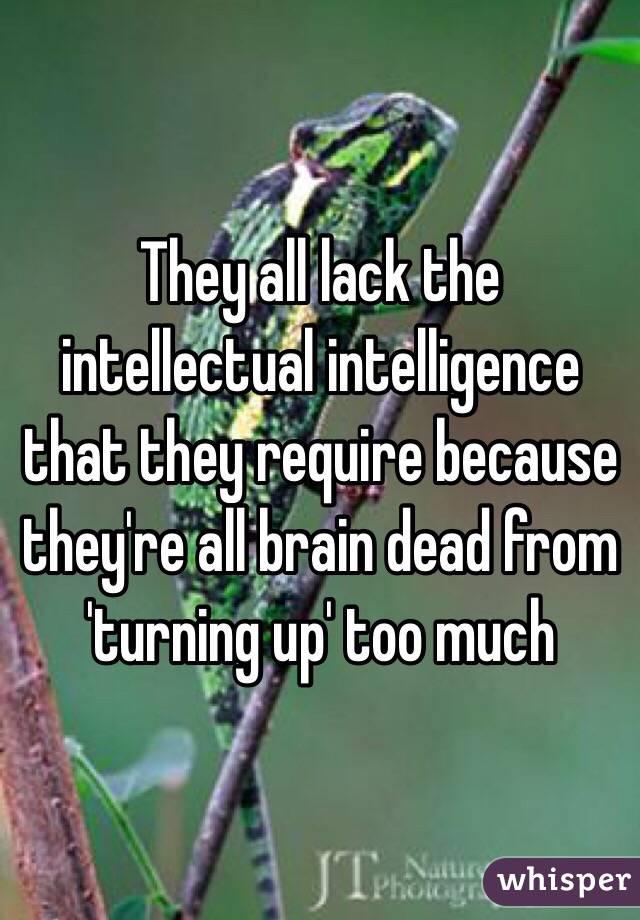 They all lack the intellectual intelligence that they require because they're all brain dead from 'turning up' too much