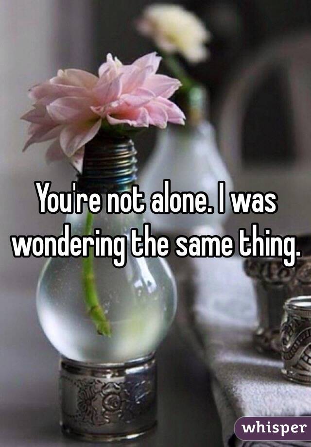 You're not alone. I was wondering the same thing.