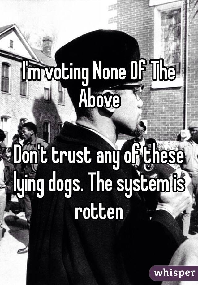 I'm voting None Of The Above

Don't trust any of these lying dogs. The system is rotten 