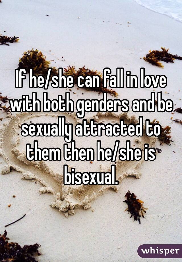 If he/she can fall in love with both genders and be sexually attracted to them then he/she is bisexual. 