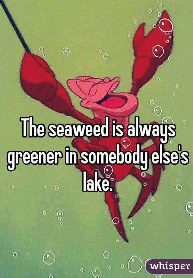 The seaweed is always greener in somebody else's lake.