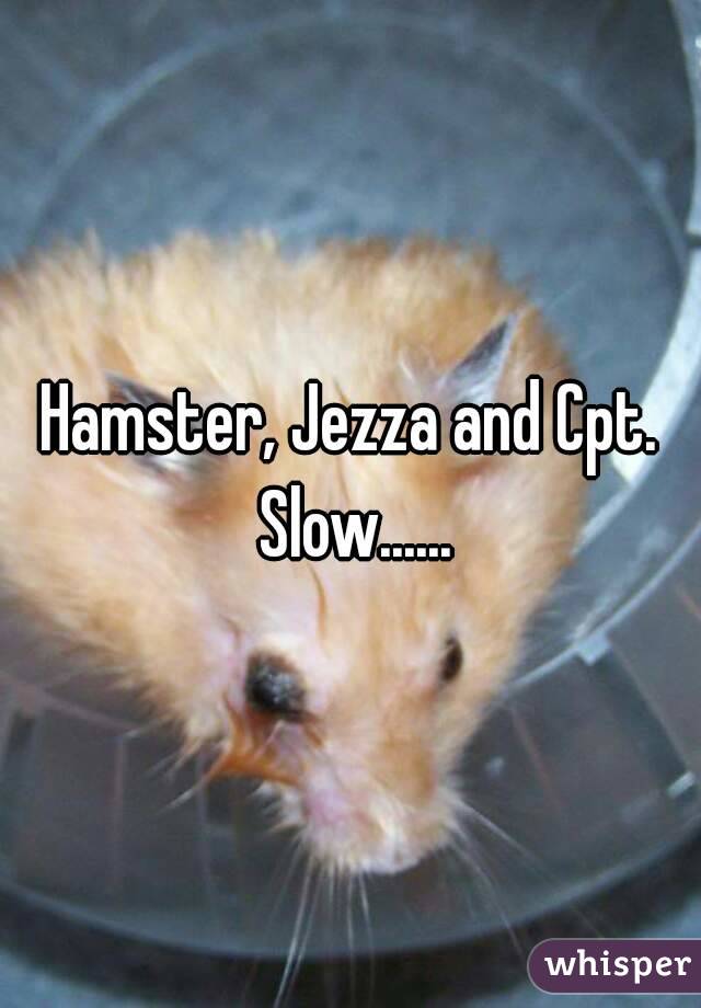 Hamster, Jezza and Cpt. Slow......