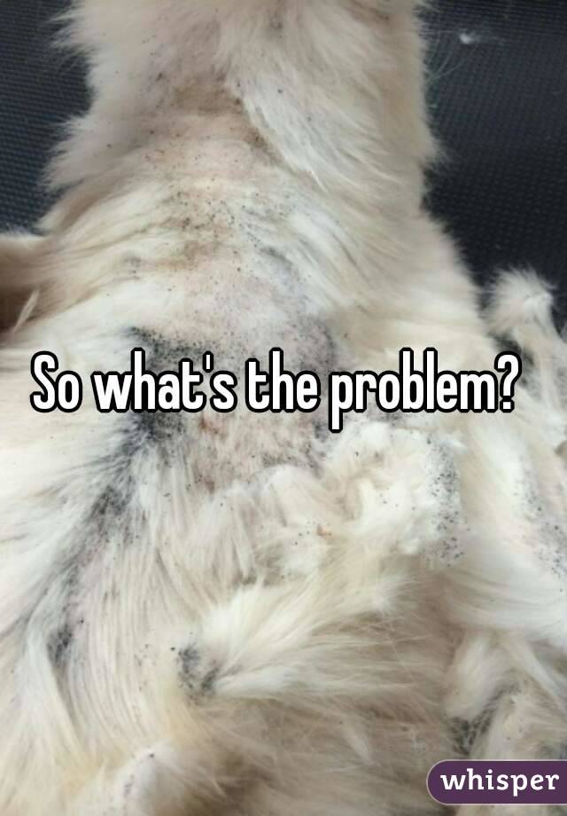 So what's the problem? 