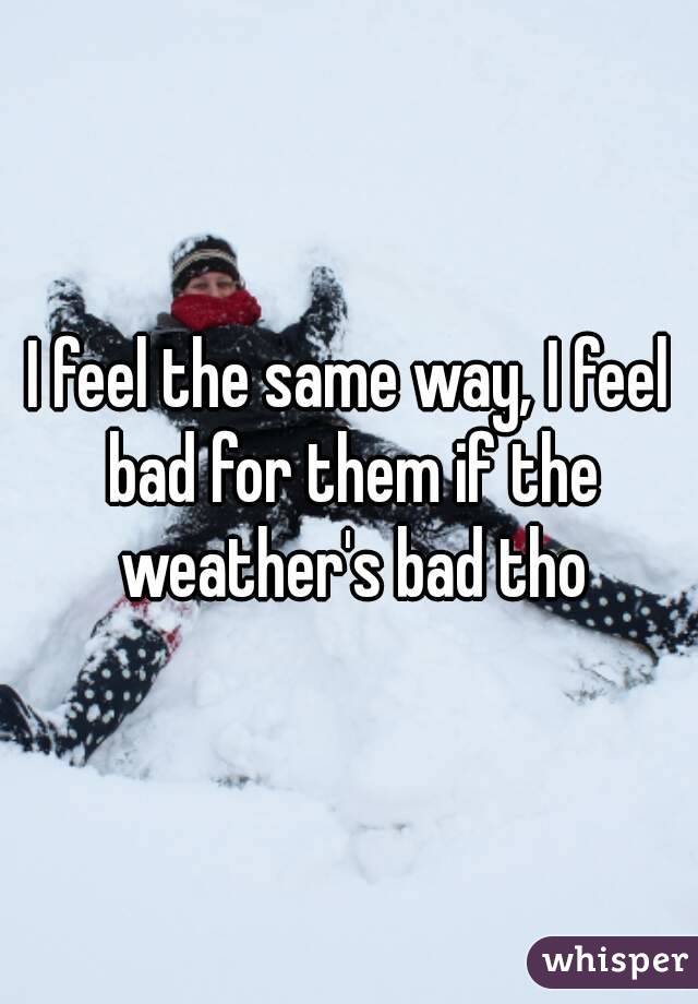 I feel the same way, I feel bad for them if the weather's bad tho
