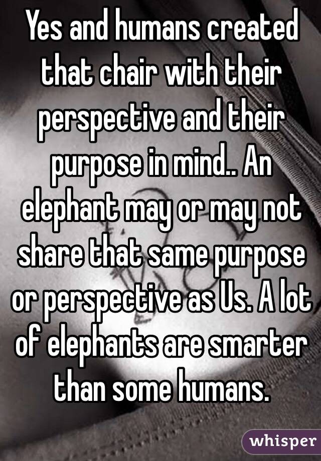 Yes and humans created that chair with their perspective and their purpose in mind.. An elephant may or may not share that same purpose or perspective as Us. A lot of elephants are smarter than some humans. 