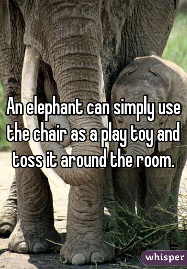 An elephant can simply use the chair as a play toy and toss it around the room.