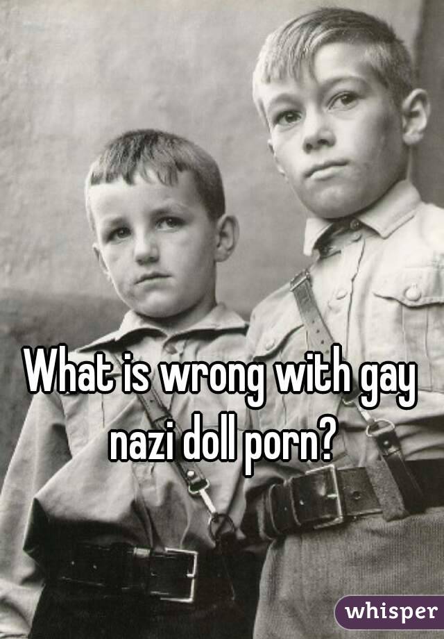 What is wrong with gay nazi doll porn?
