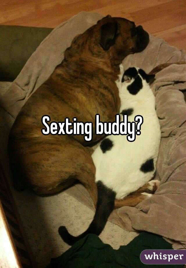 Sexting buddy?