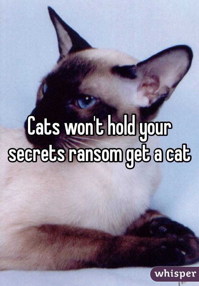Cats won't hold your secrets ransom get a cat 