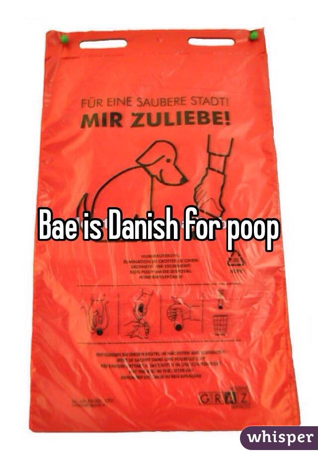 Bae is Danish for poop