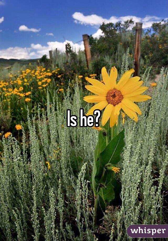 Is he?