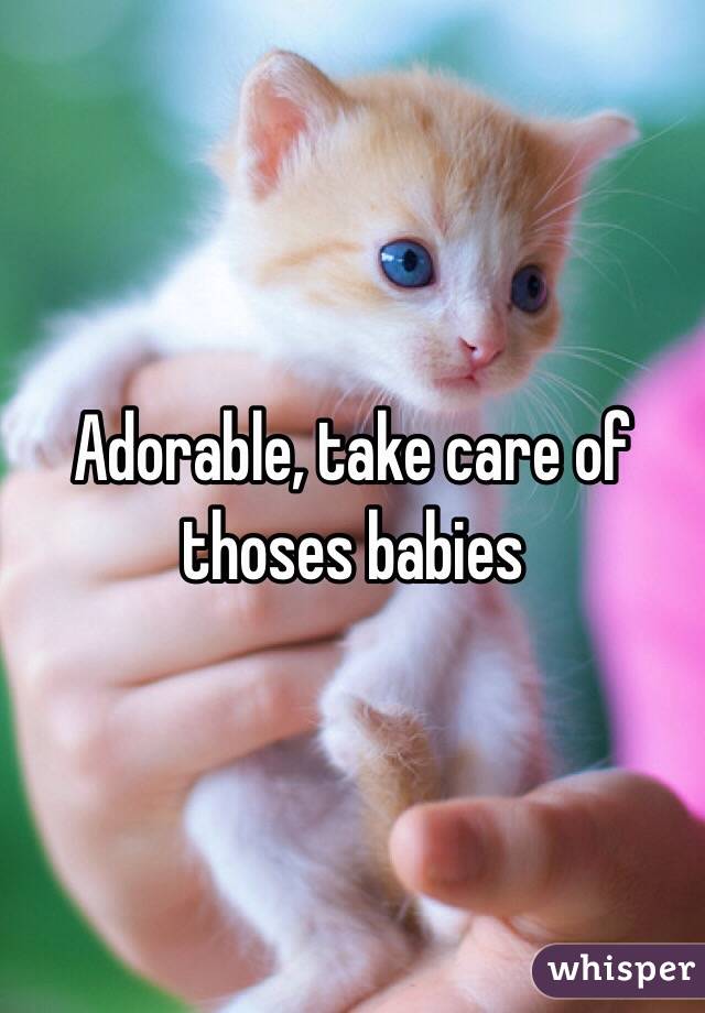 Adorable, take care of thoses babies 