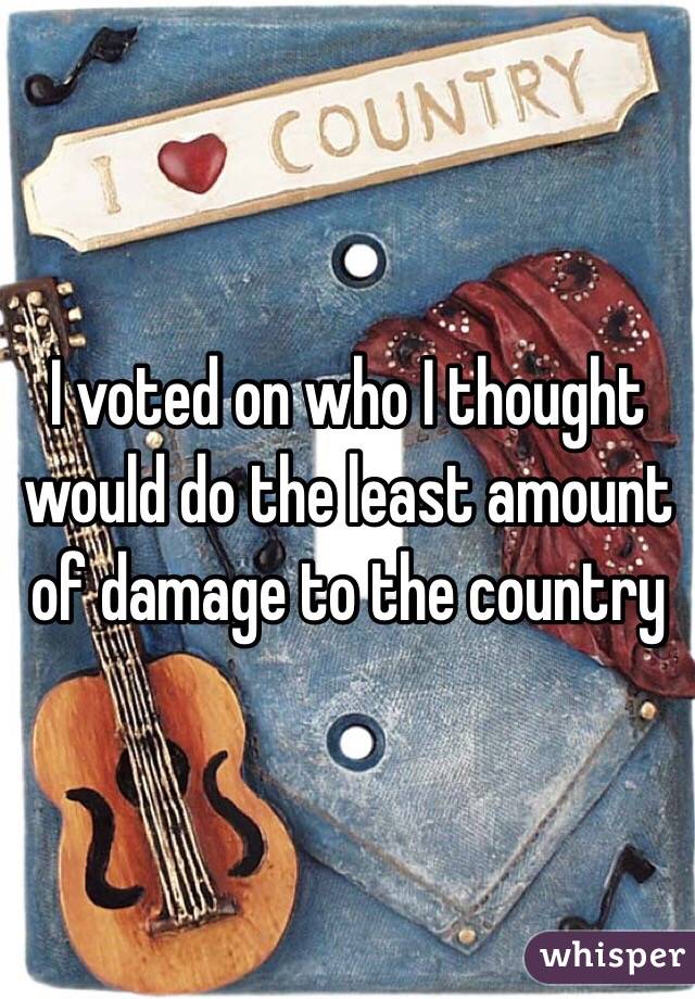 I voted on who I thought would do the least amount of damage to the country 