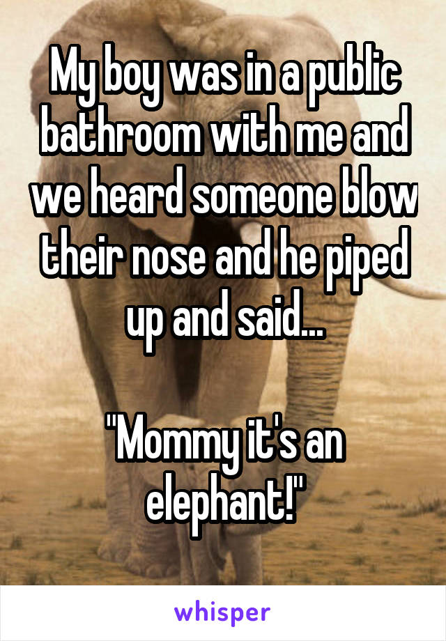 My boy was in a public bathroom with me and we heard someone blow their nose and he piped up and said...

"Mommy it's an elephant!"
