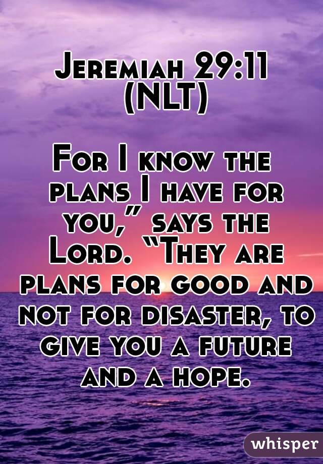 Jeremiah 29:11 (NLT)

For I know the plans I have for you,” says the Lord. “They are plans for good and not for disaster, to give you a future and a hope.