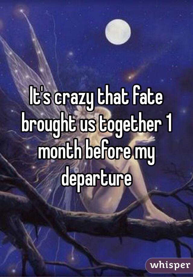 It's crazy that fate brought us together 1 month before my departure 