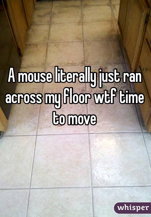 A mouse literally just ran across my floor wtf time to move 