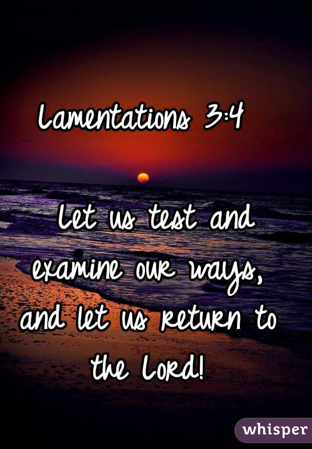 Lamentations 3:4

  Let us test and examine our ways, and let us return to the Lord!