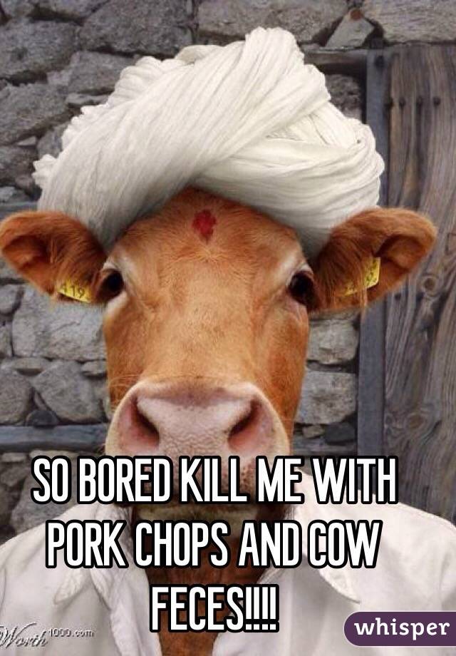 SO BORED KILL ME WITH PORK CHOPS AND COW FECES!!!!