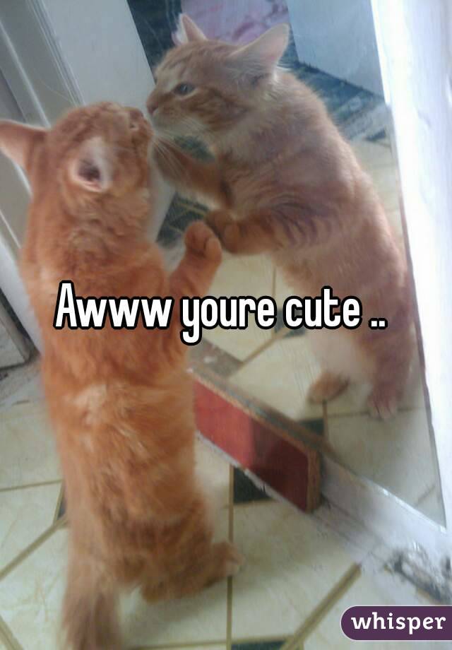 Awww youre cute .. 