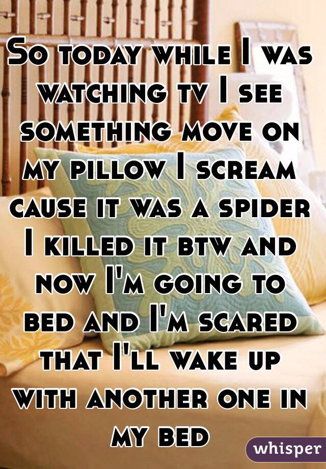 So today while I was watching tv I see something move on my pillow I scream cause it was a spider I killed it btw and now I'm going to bed and I'm scared that I'll wake up with another one in my bed  