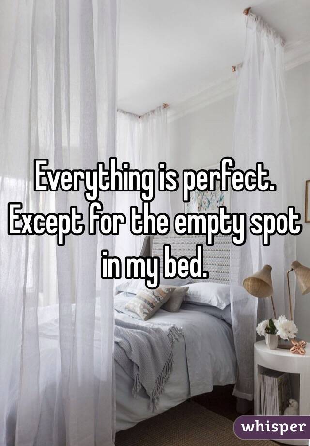 Everything is perfect. Except for the empty spot in my bed. 