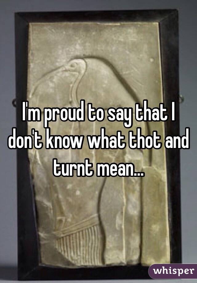 I'm proud to say that I don't know what thot and turnt mean...