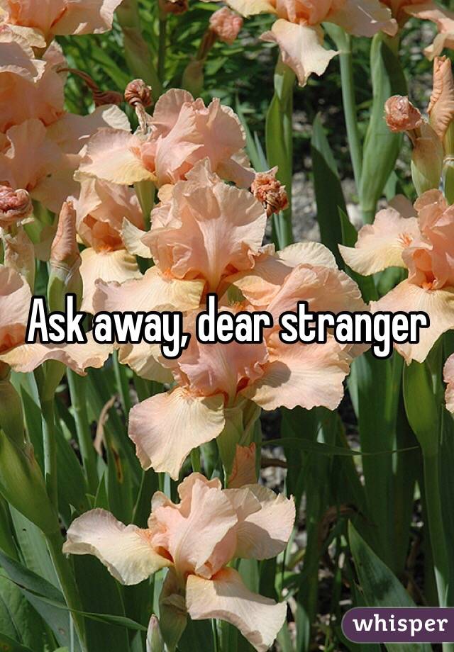 Ask away, dear stranger 