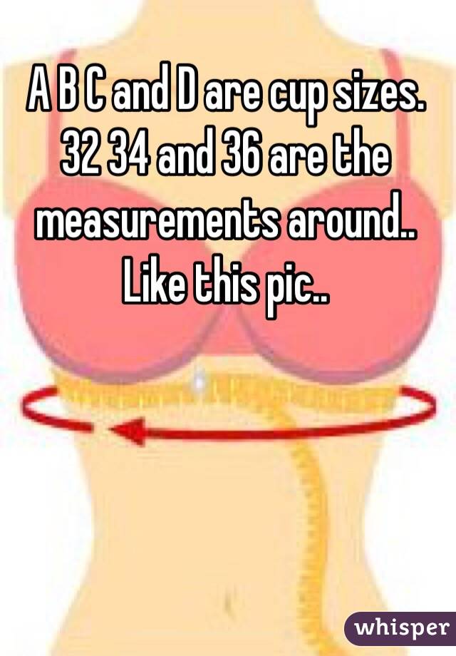 A B C and D are cup sizes. 
32 34 and 36 are the measurements around.. Like this pic.. 