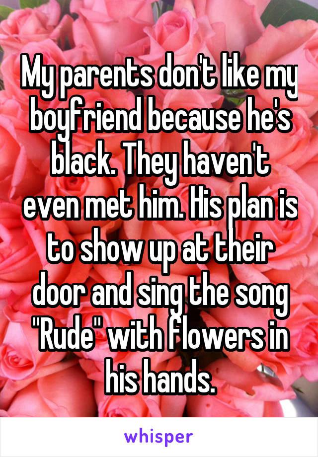 My parents don't like my boyfriend because he's black. They haven't even met him. His plan is to show up at their door and sing the song "Rude" with flowers in his hands.