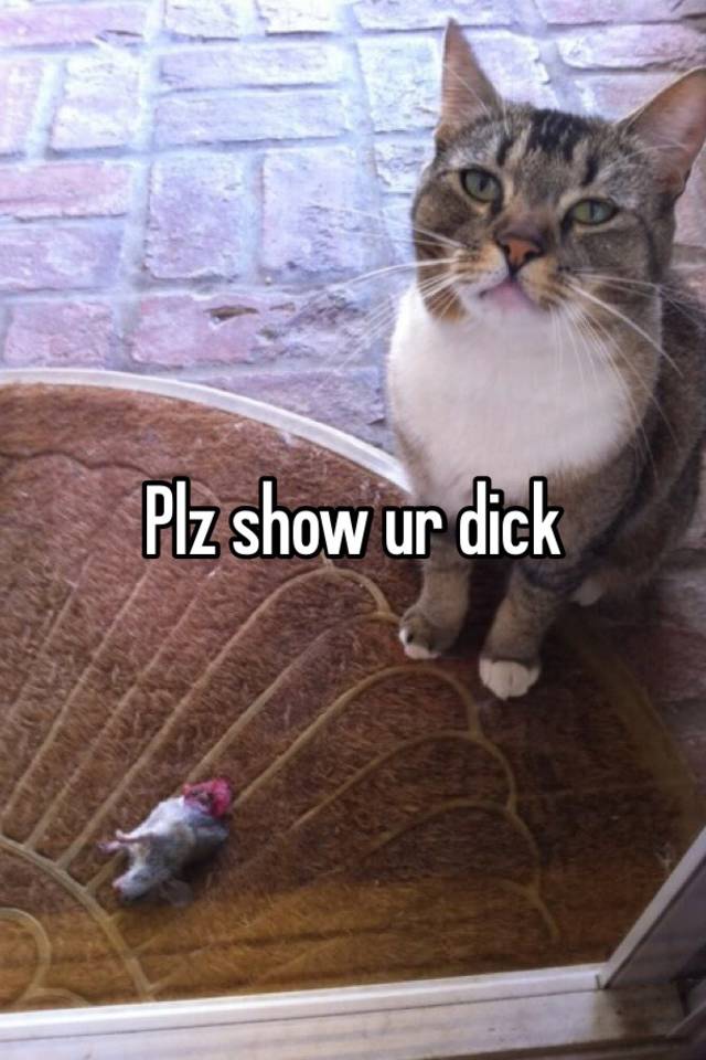 Show Ur Cock