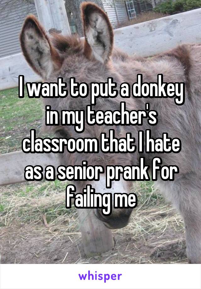 I want to put a donkey in my teacher's classroom that I hate as a senior prank for failing me