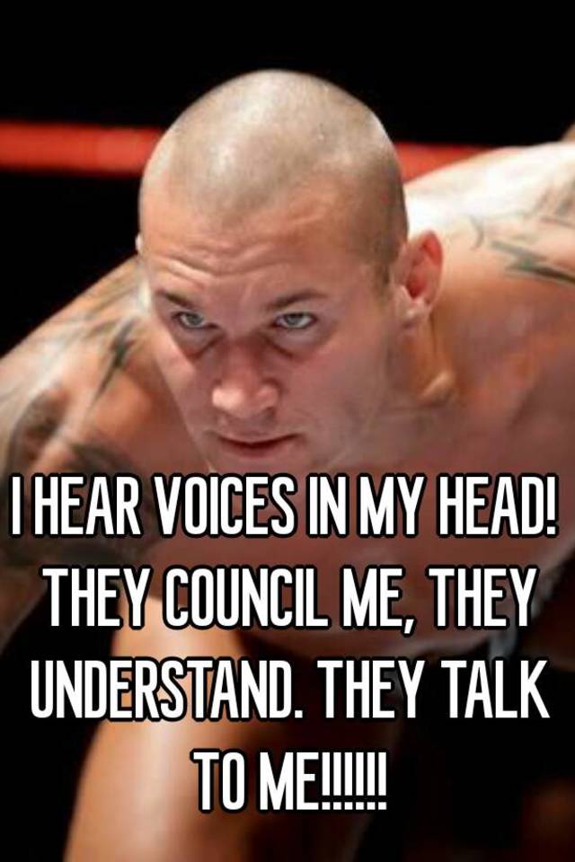 i-hear-voices-in-my-head-they-council-me-they-understand-they-talk