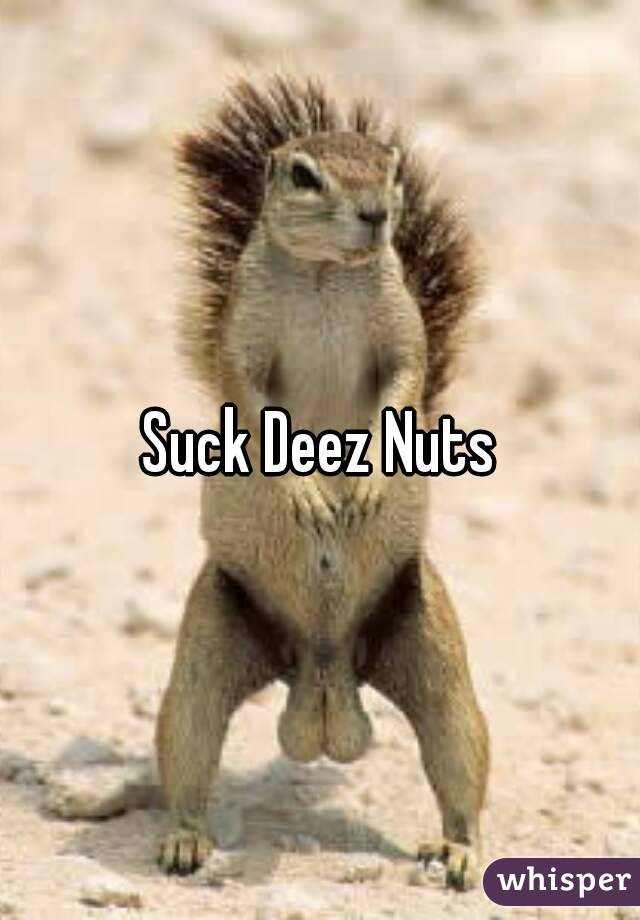 Suck Nuts 115