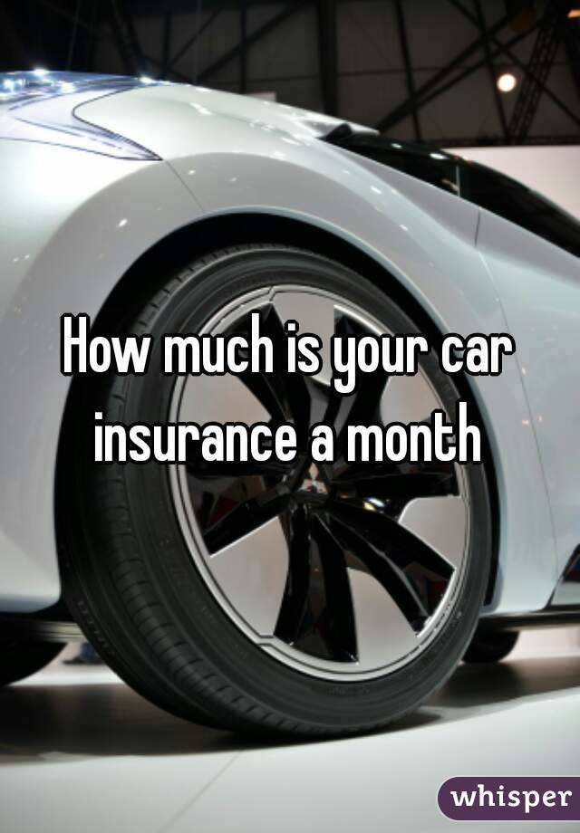 How much is your car insurance a month - Whisper