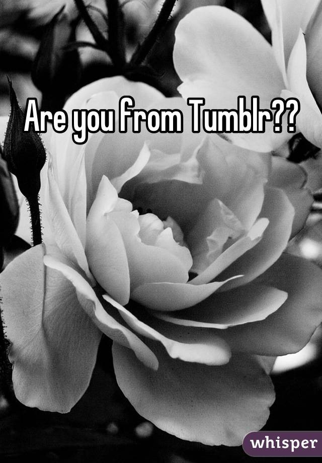 Are you from Tumblr??