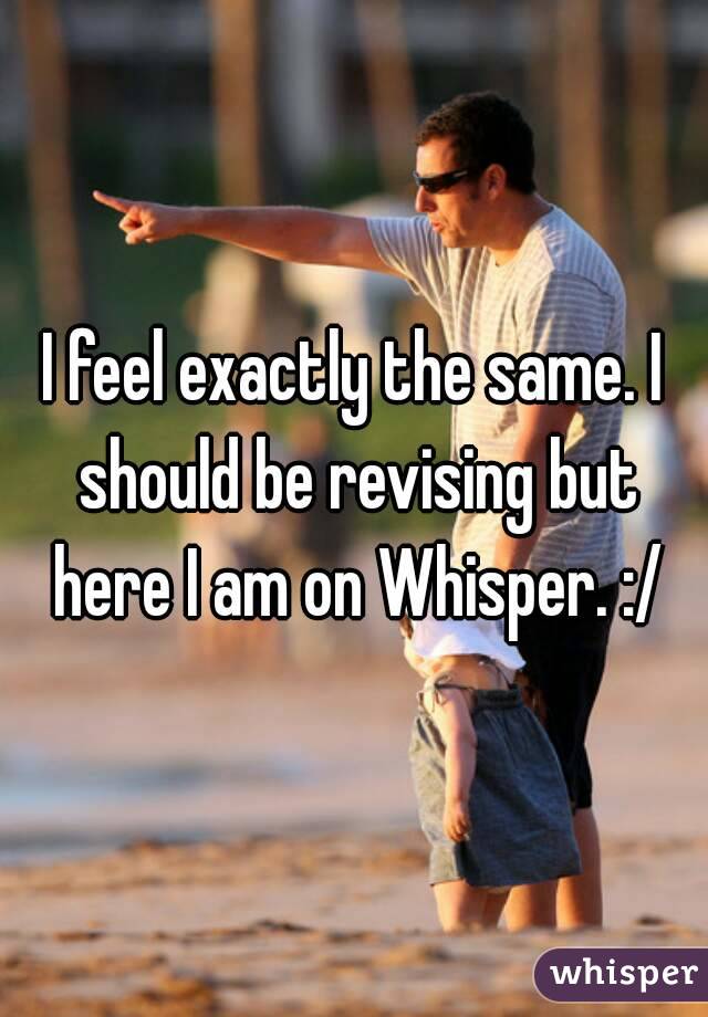I feel exactly the same. I should be revising but here I am on Whisper. :/