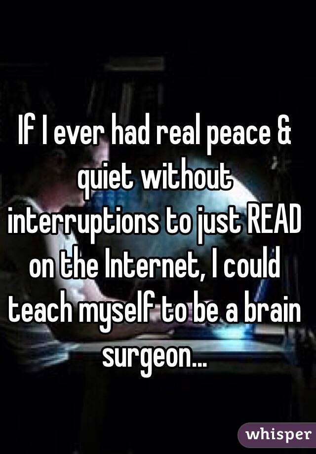 If I ever had real peace & quiet without interruptions to just READ on the Internet, I could teach myself to be a brain surgeon...