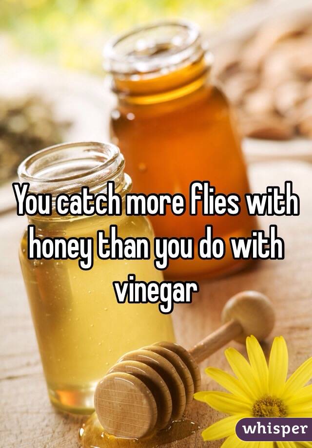 You catch more flies with honey than you do with vinegar 