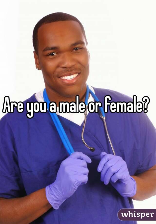 are-you-a-male-or-female