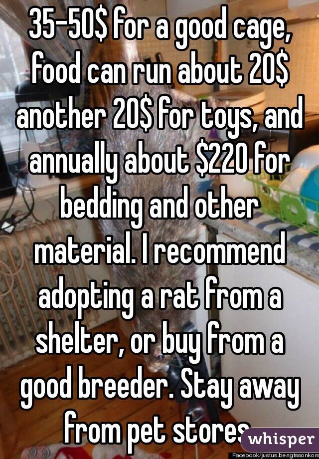 35-50$ for a good cage, food can run about 20$ another 20$ for toys, and annually about $220 for bedding and other material. I recommend adopting a rat from a shelter, or buy from a good breeder. Stay away from pet stores. 