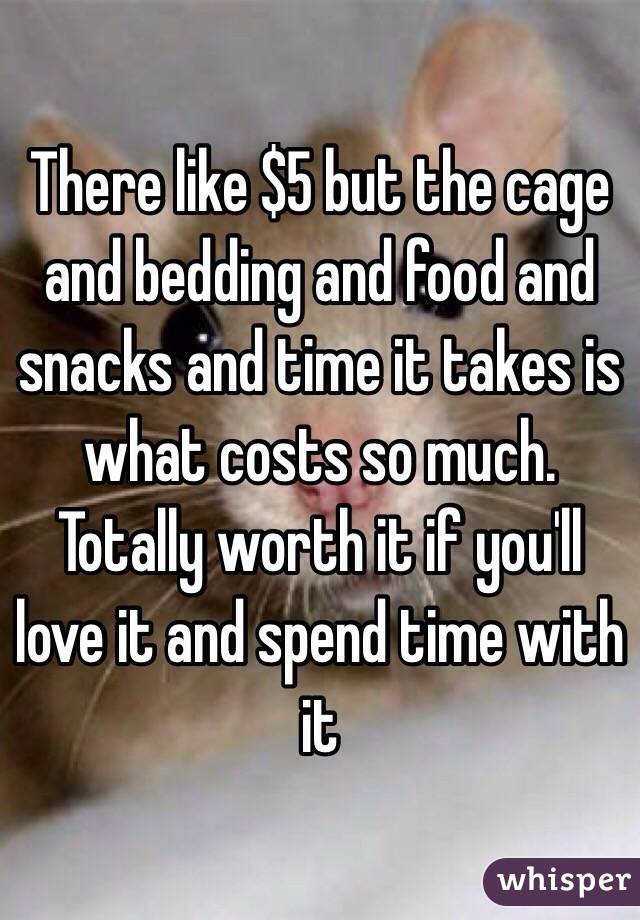 There like $5 but the cage and bedding and food and snacks and time it takes is what costs so much. Totally worth it if you'll love it and spend time with it 