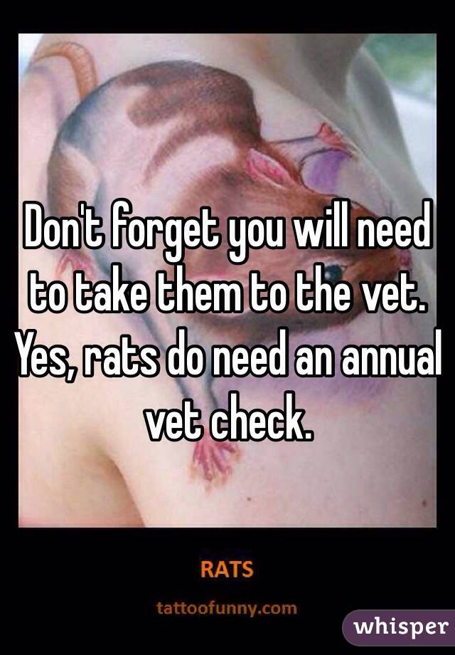 Don't forget you will need to take them to the vet. Yes, rats do need an annual vet check. 