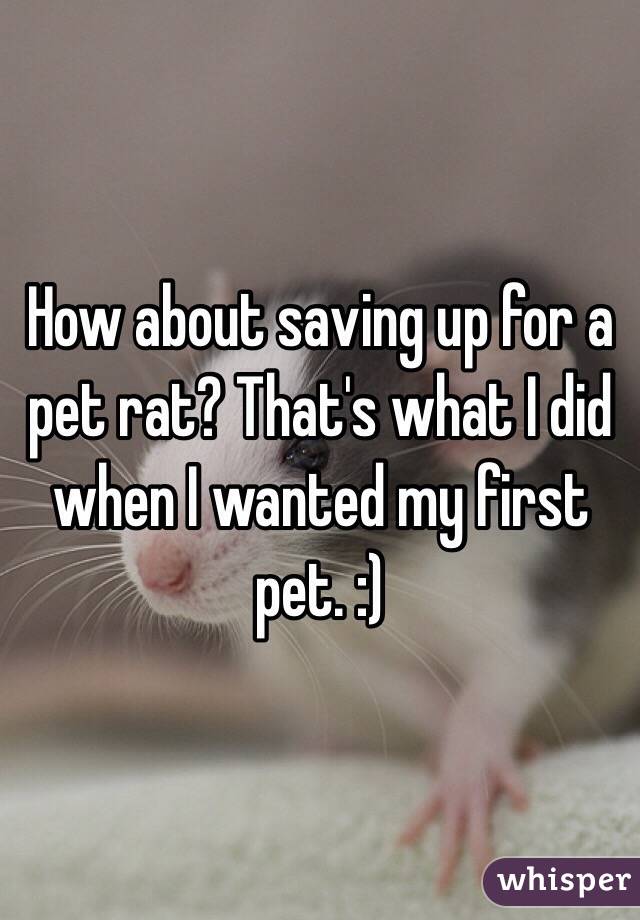 How about saving up for a pet rat? That's what I did when I wanted my first pet. :) 