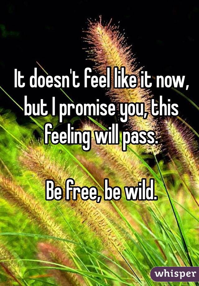 It doesn't feel like it now, but I promise you, this feeling will pass.

Be free, be wild.