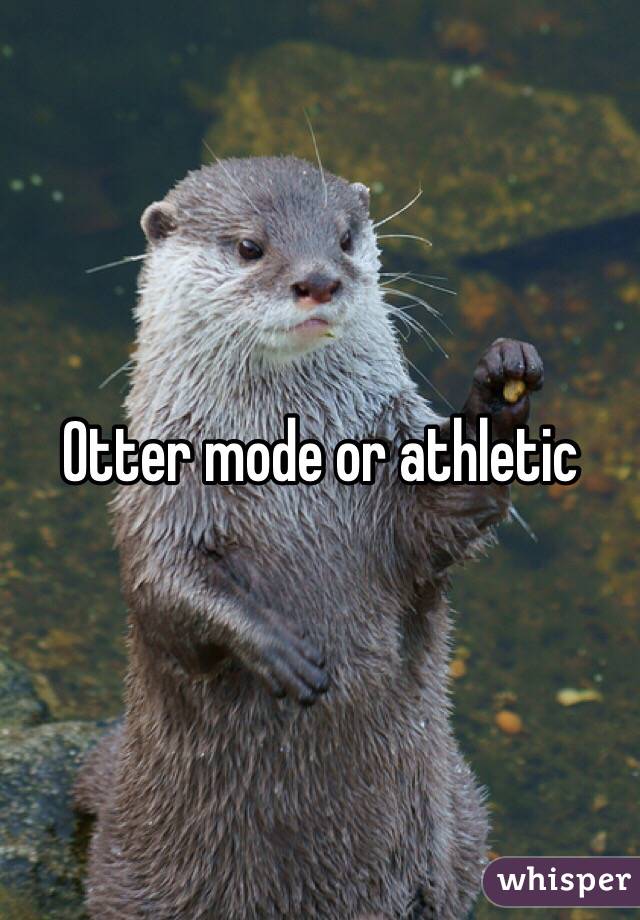 Otter mode or athletic